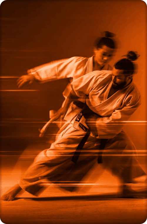Martial Arts Action